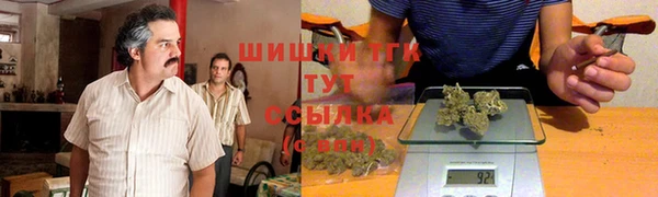 трава Белокуриха
