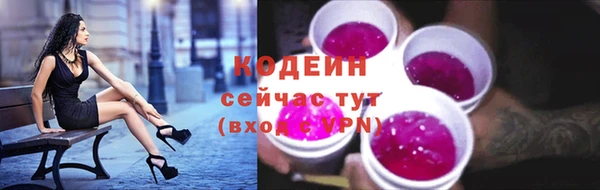 молекула духа Протвино